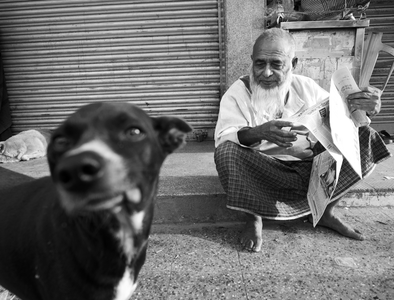 Dog and old man portrait.