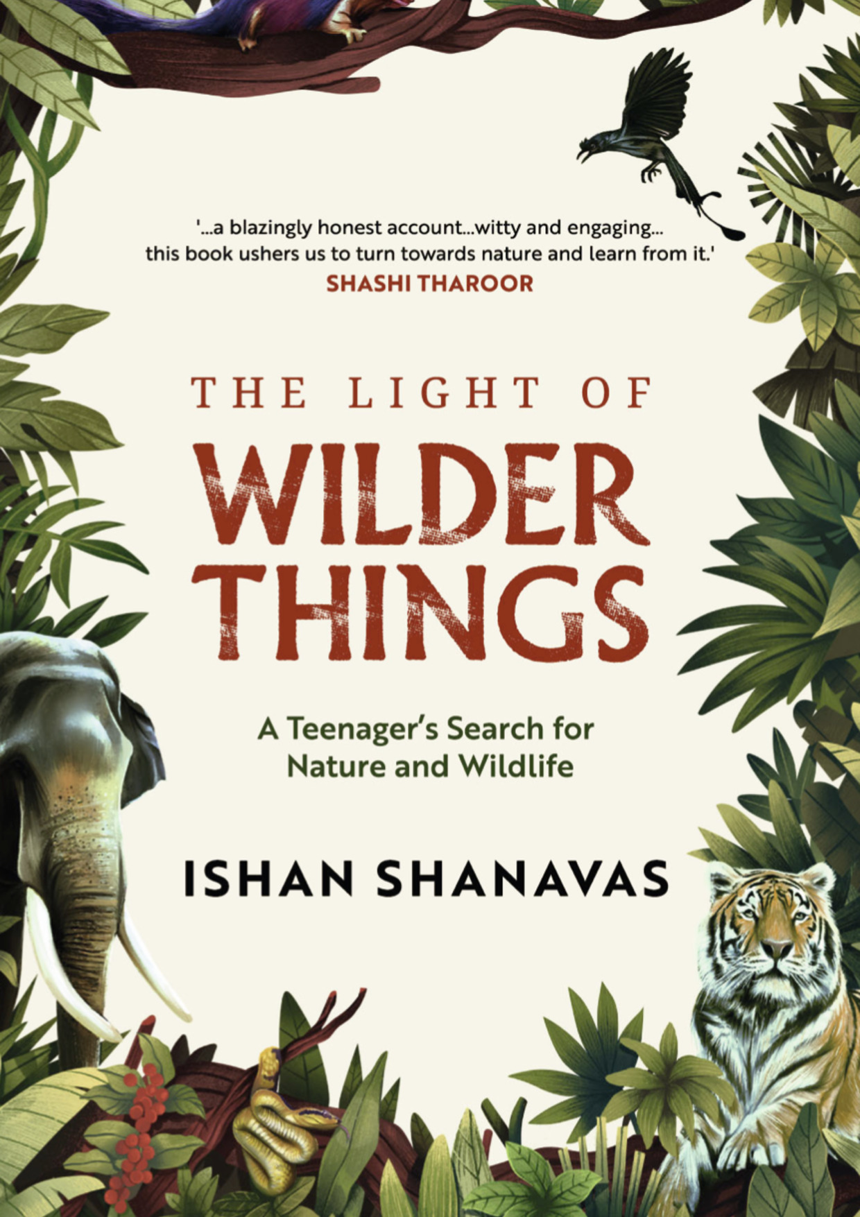 The Light of Wilder Things Book Front Cover