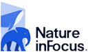 Nature-In-Focus-LOGO-01